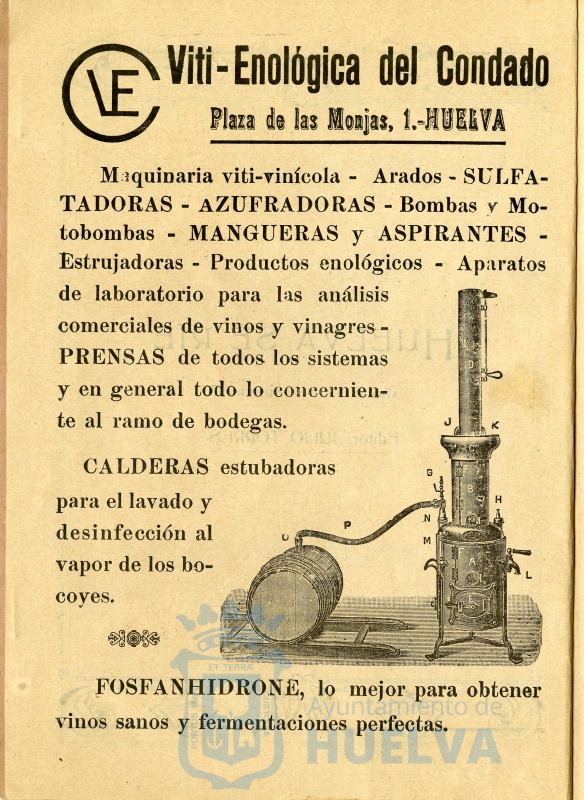* Image 4