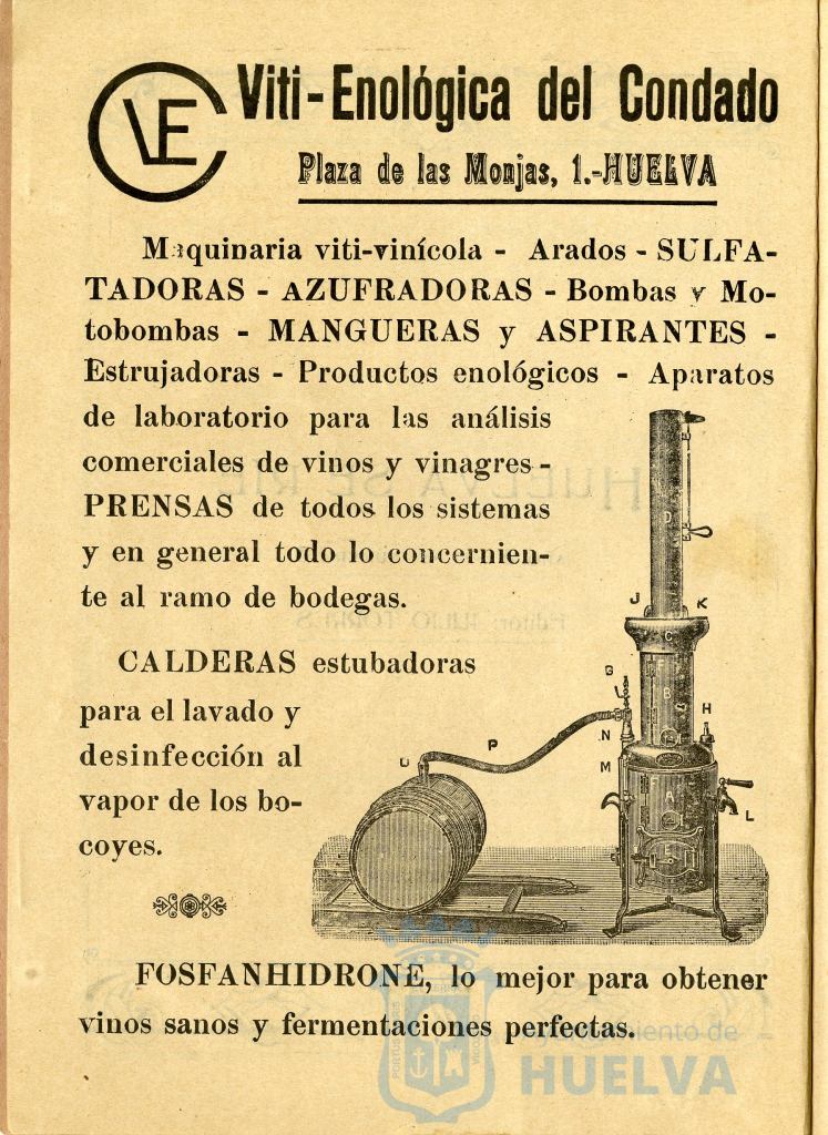 * Image 4