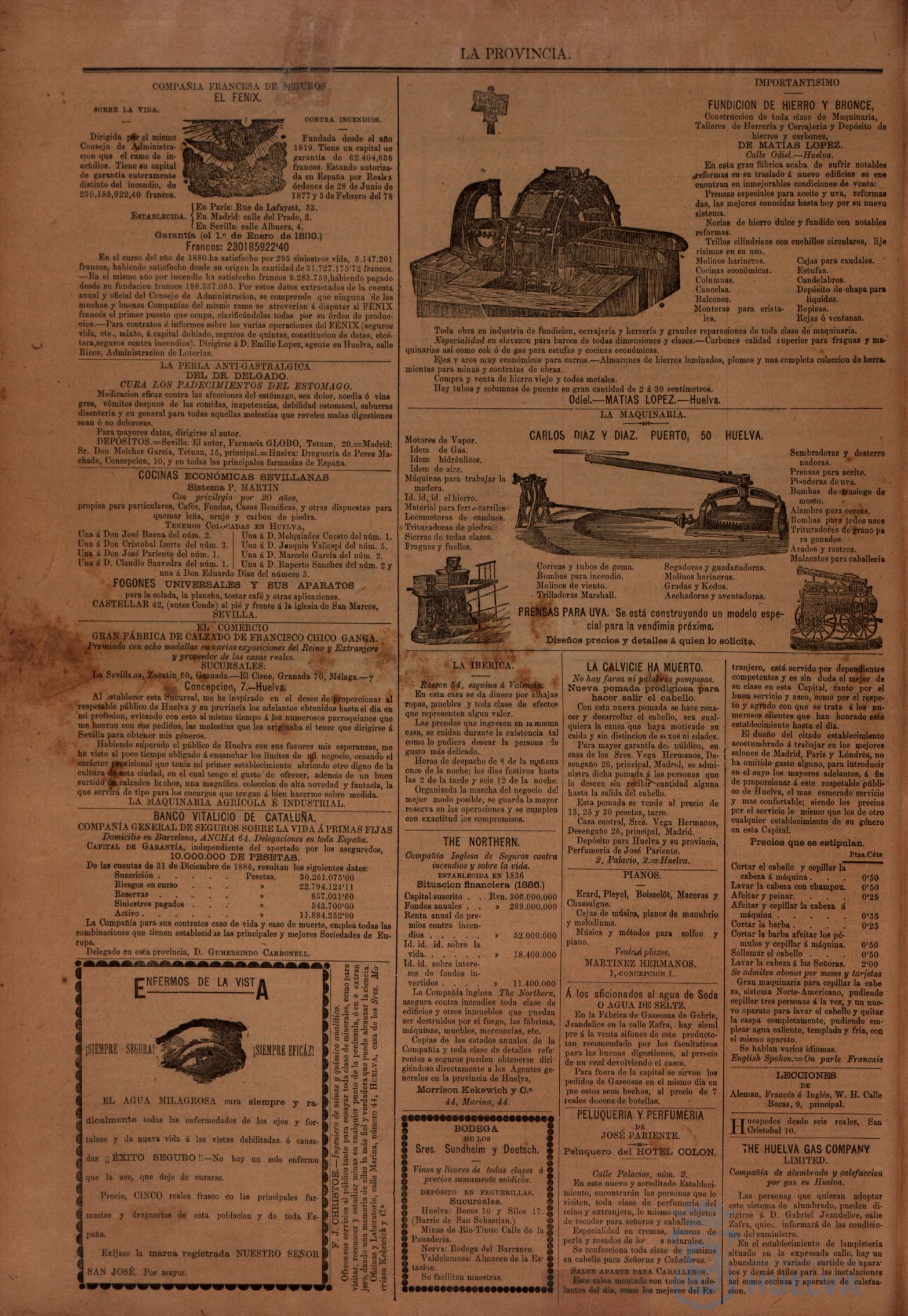 * Image 4