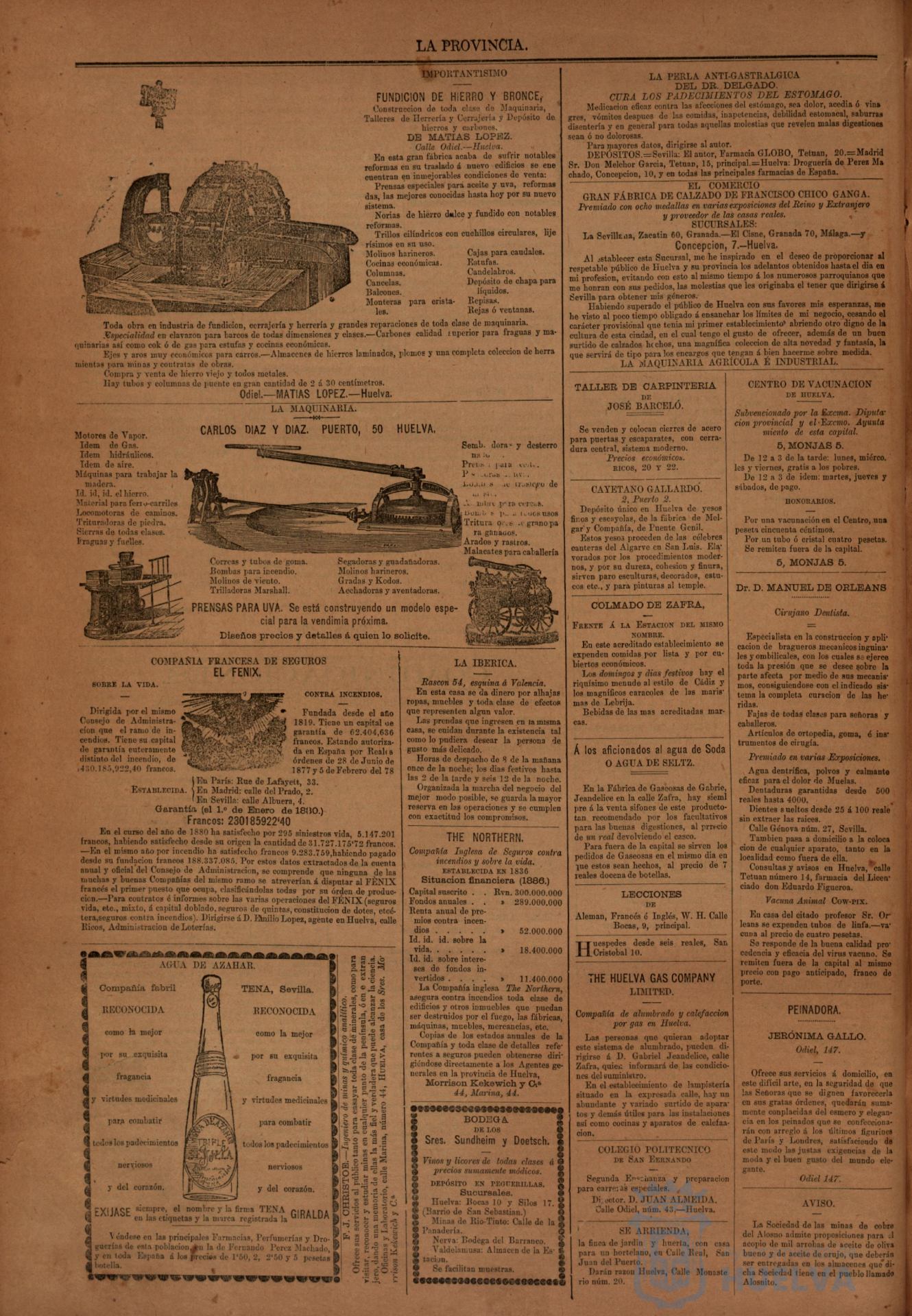 * Image 4