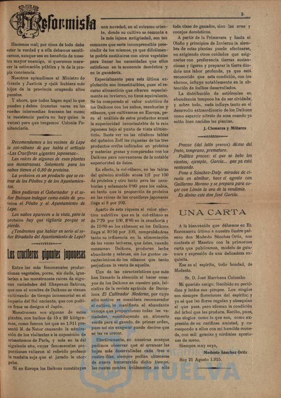 * Image 21