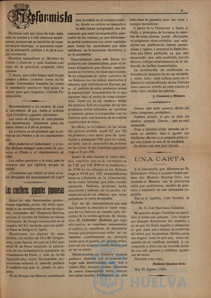 * Image 21