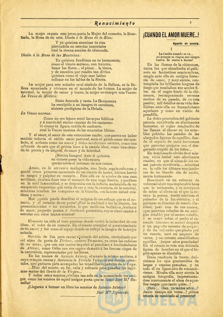 * Image 7