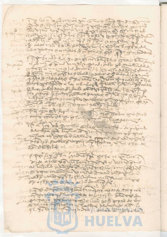 * Image 13