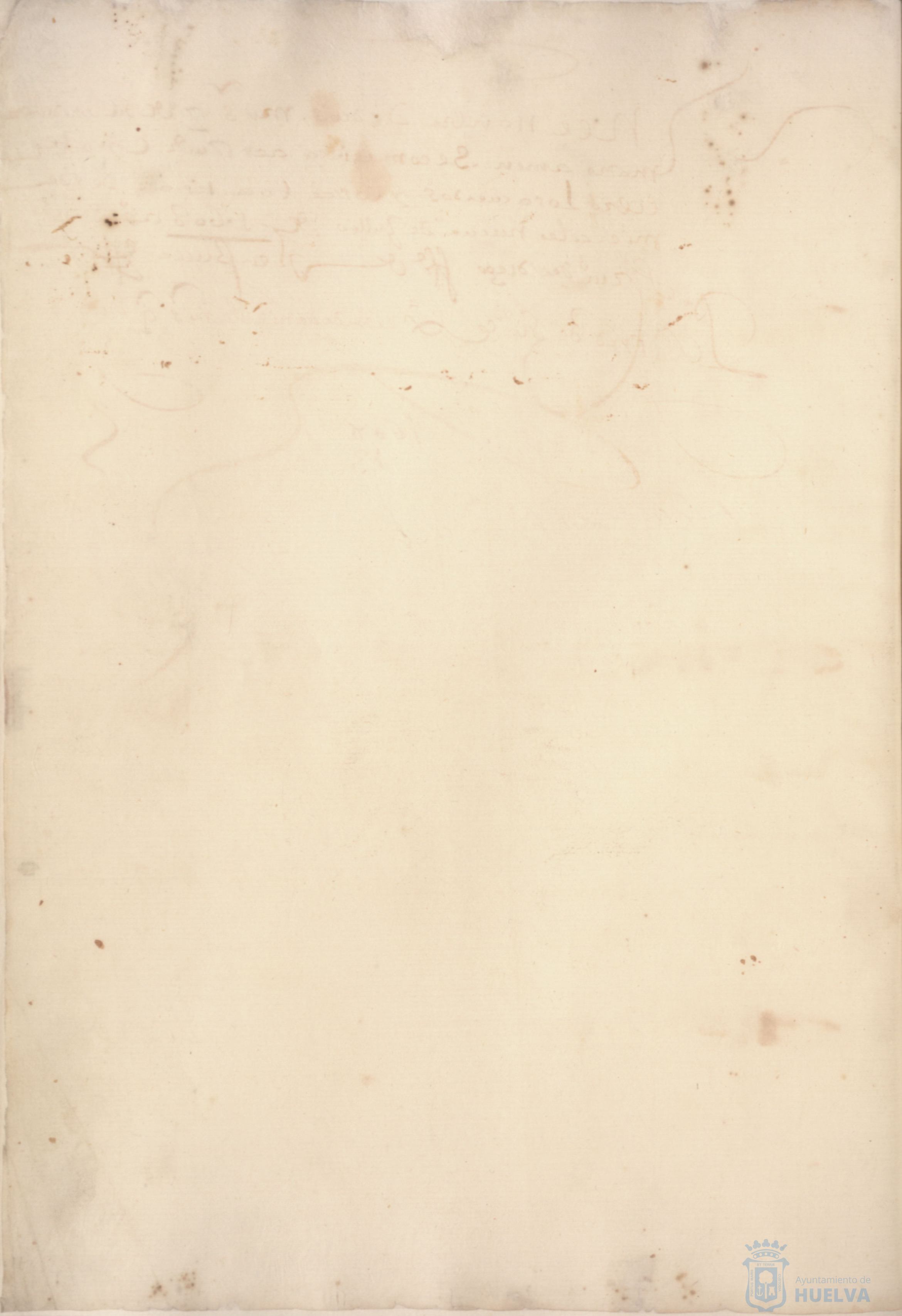 * Image 12