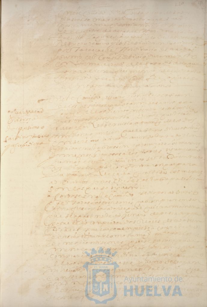 * Image 231