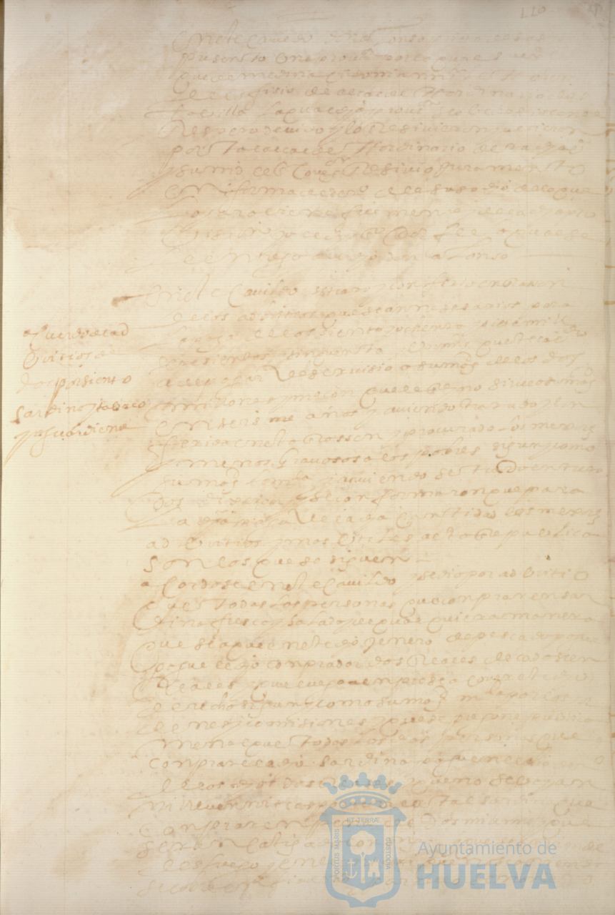 * Image 231