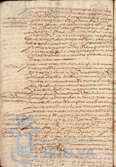 * Image 304