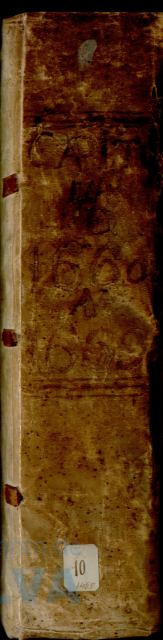 * Image 2