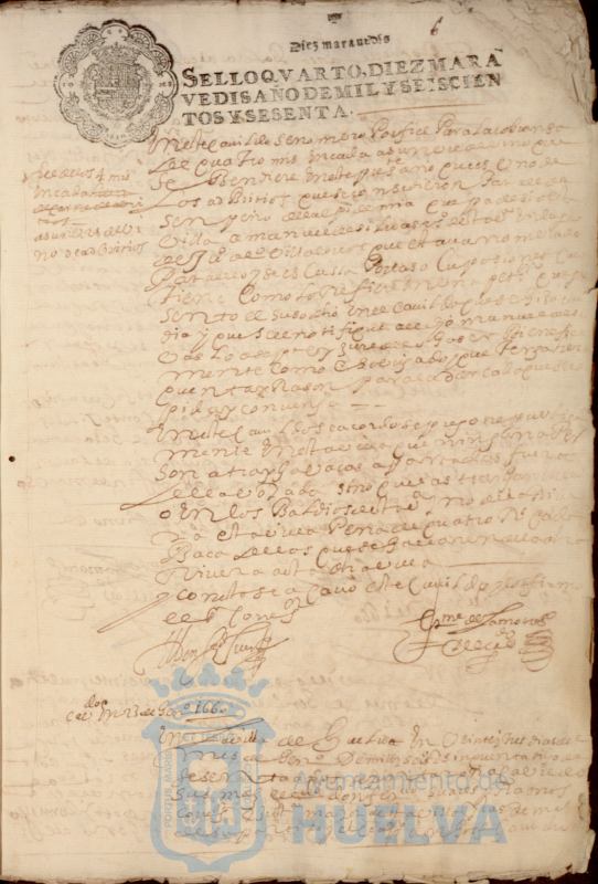 * Image 21
