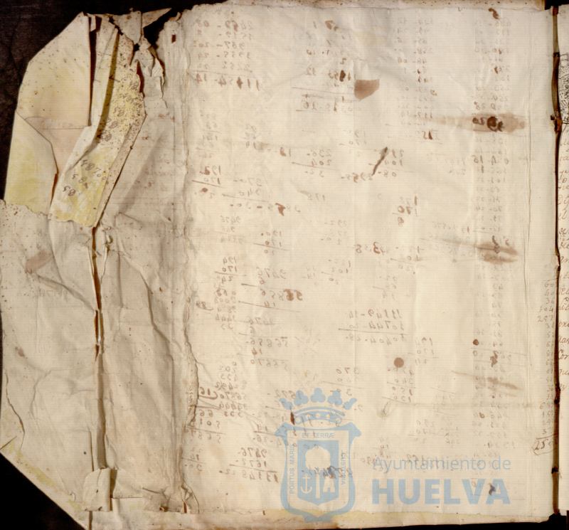 * Image 4
