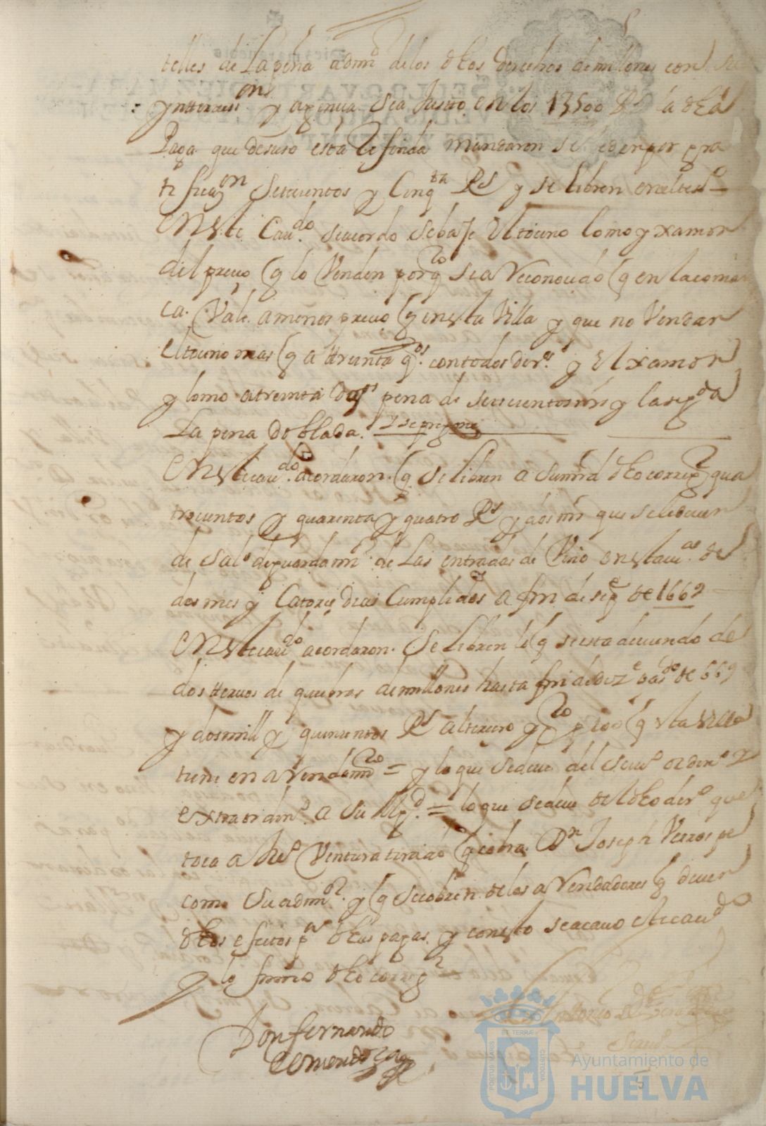 * Image 19