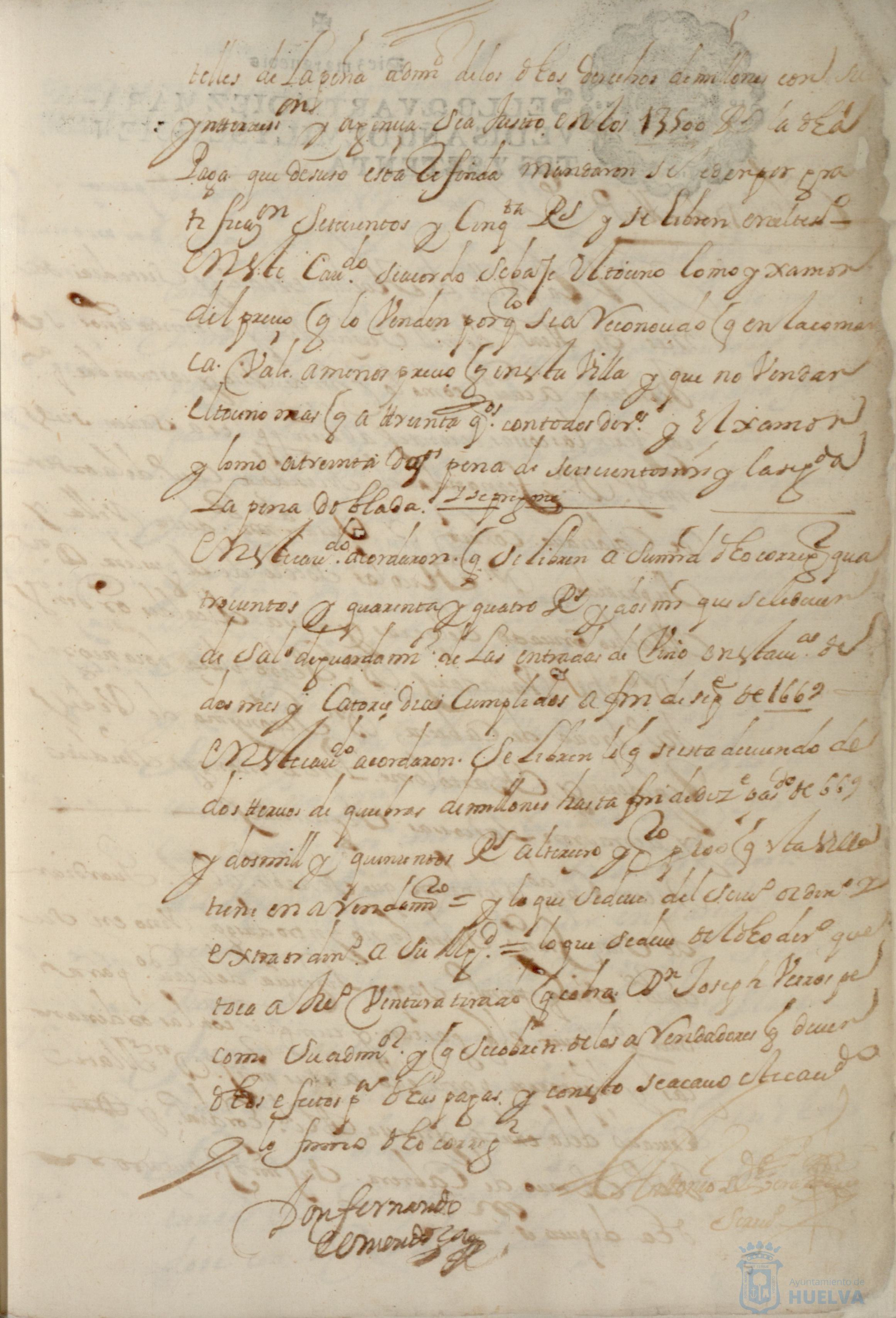 * Image 19