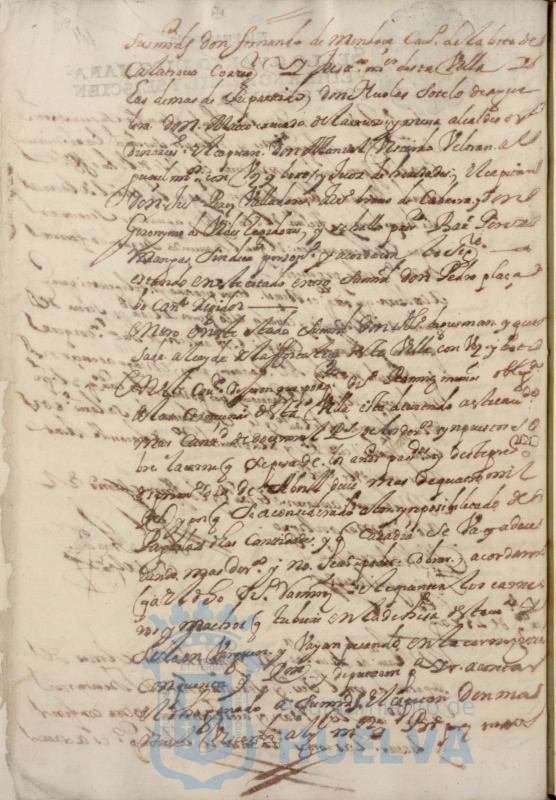 * Image 104