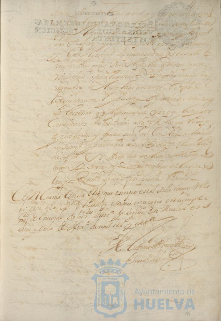 * Image 31