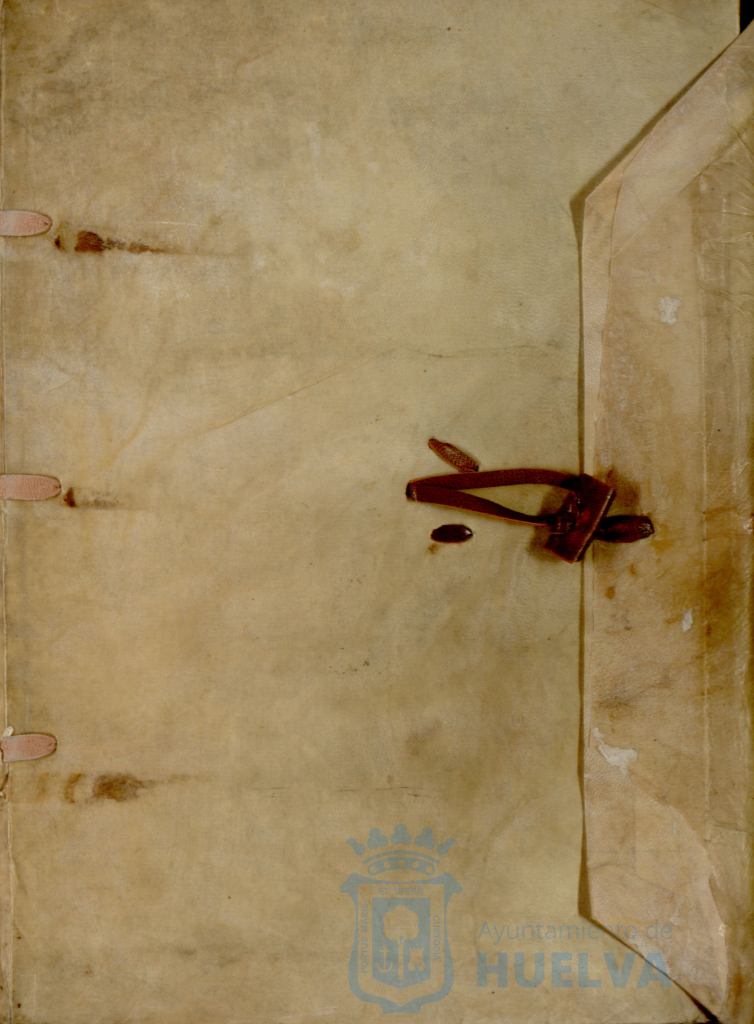 * Image 3