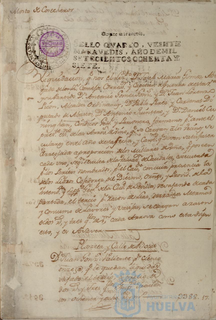 * Image 7