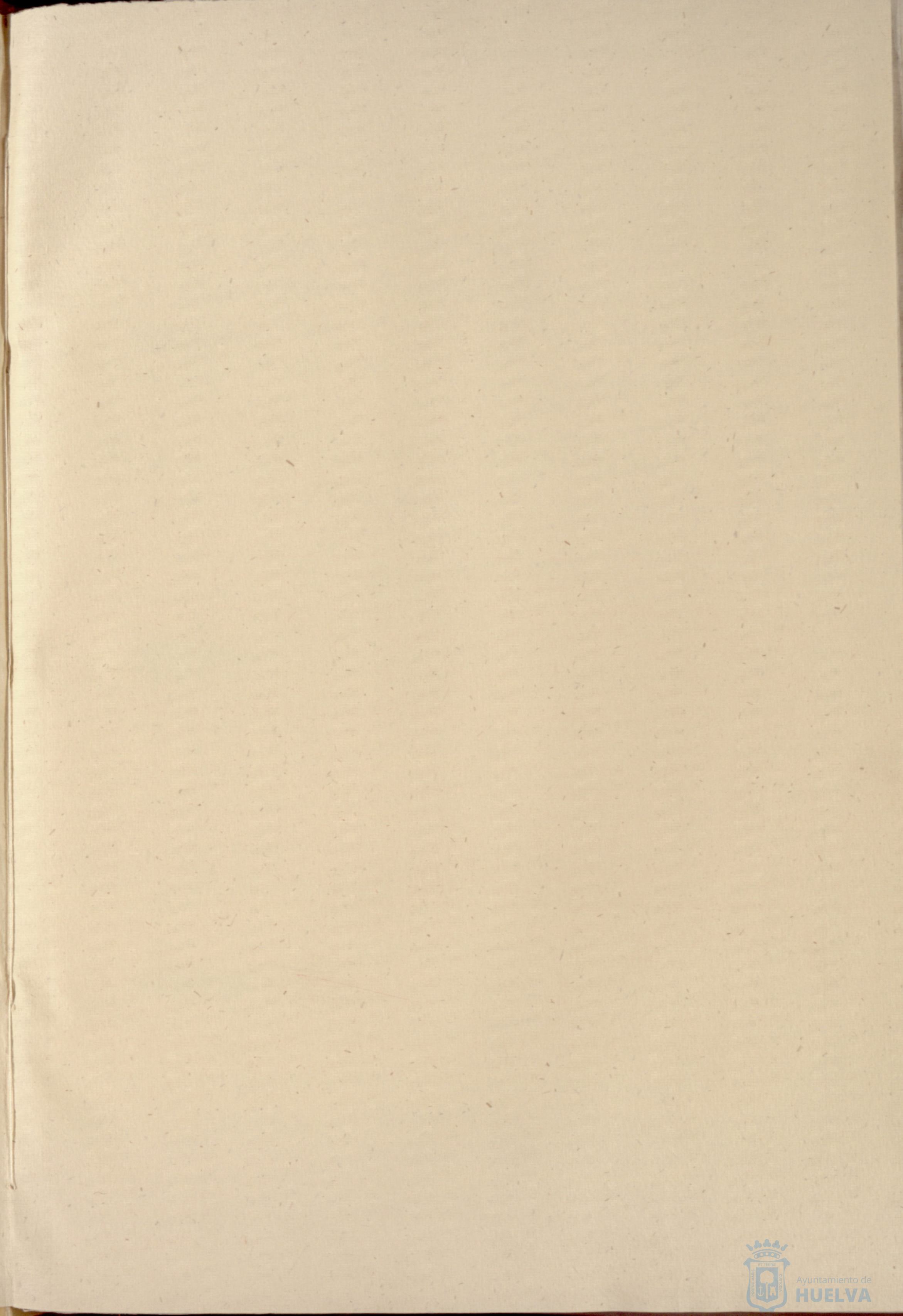* Image 5