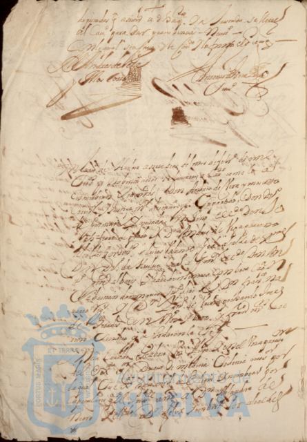 * Image 13