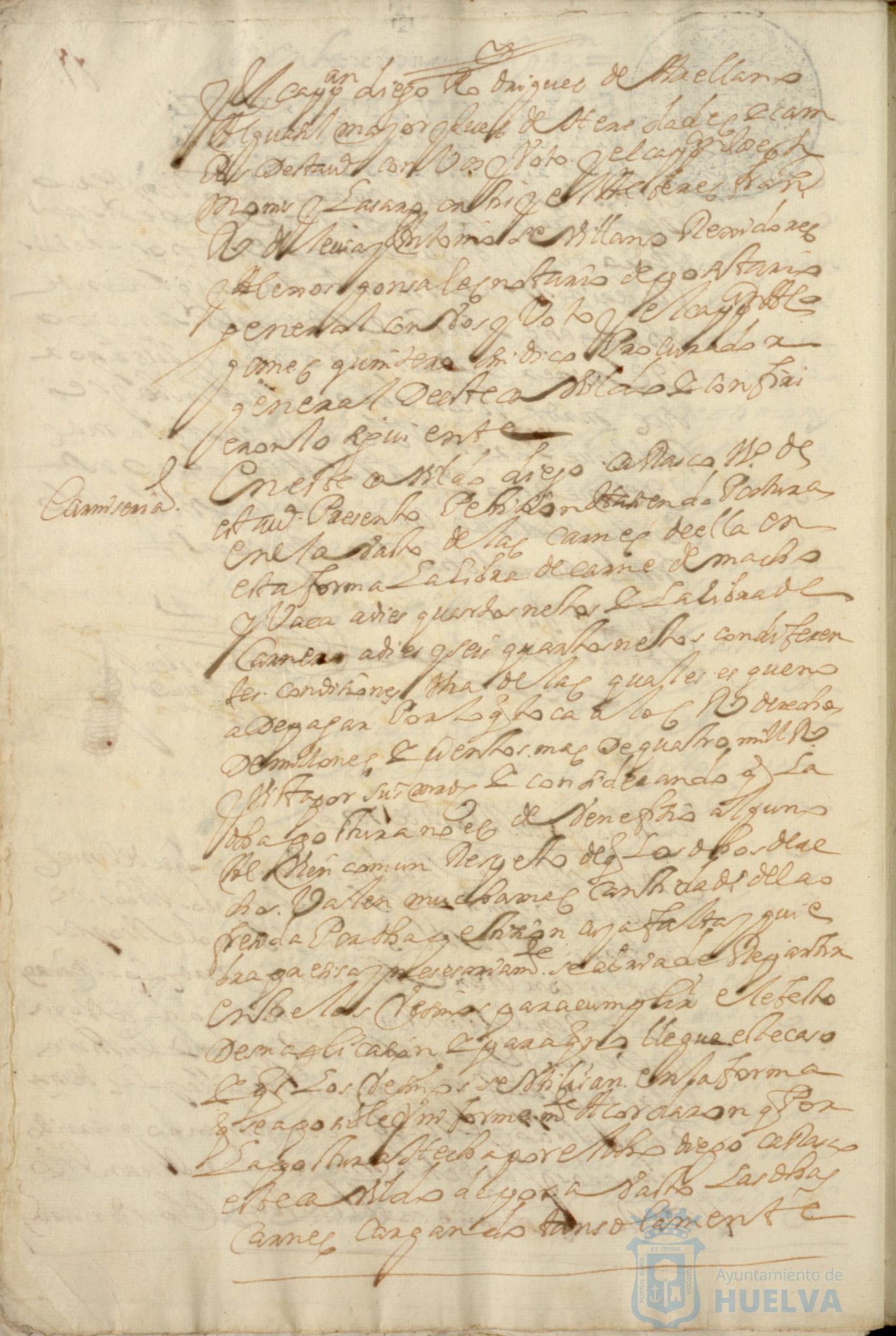 * Image 205