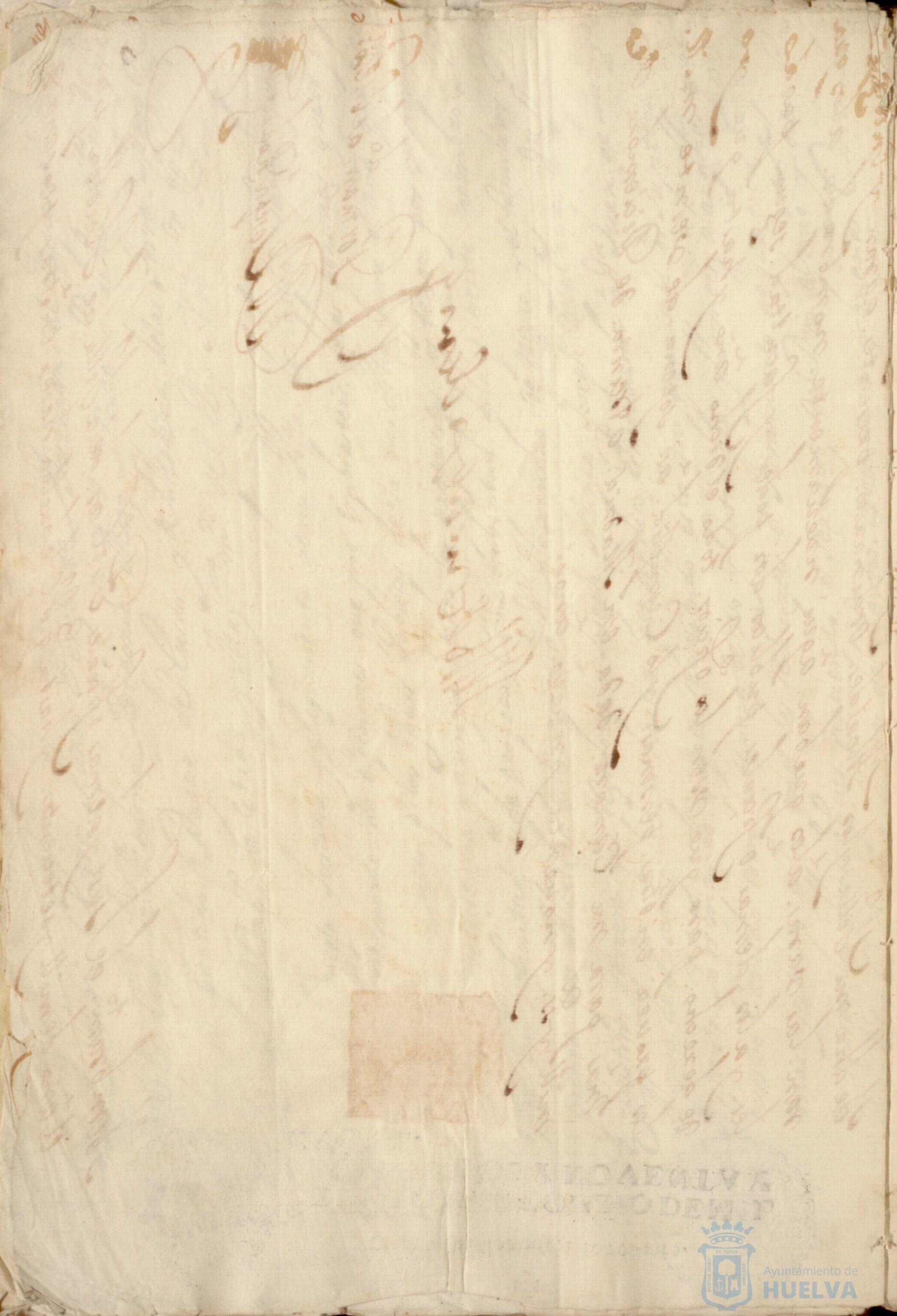 * Image 12