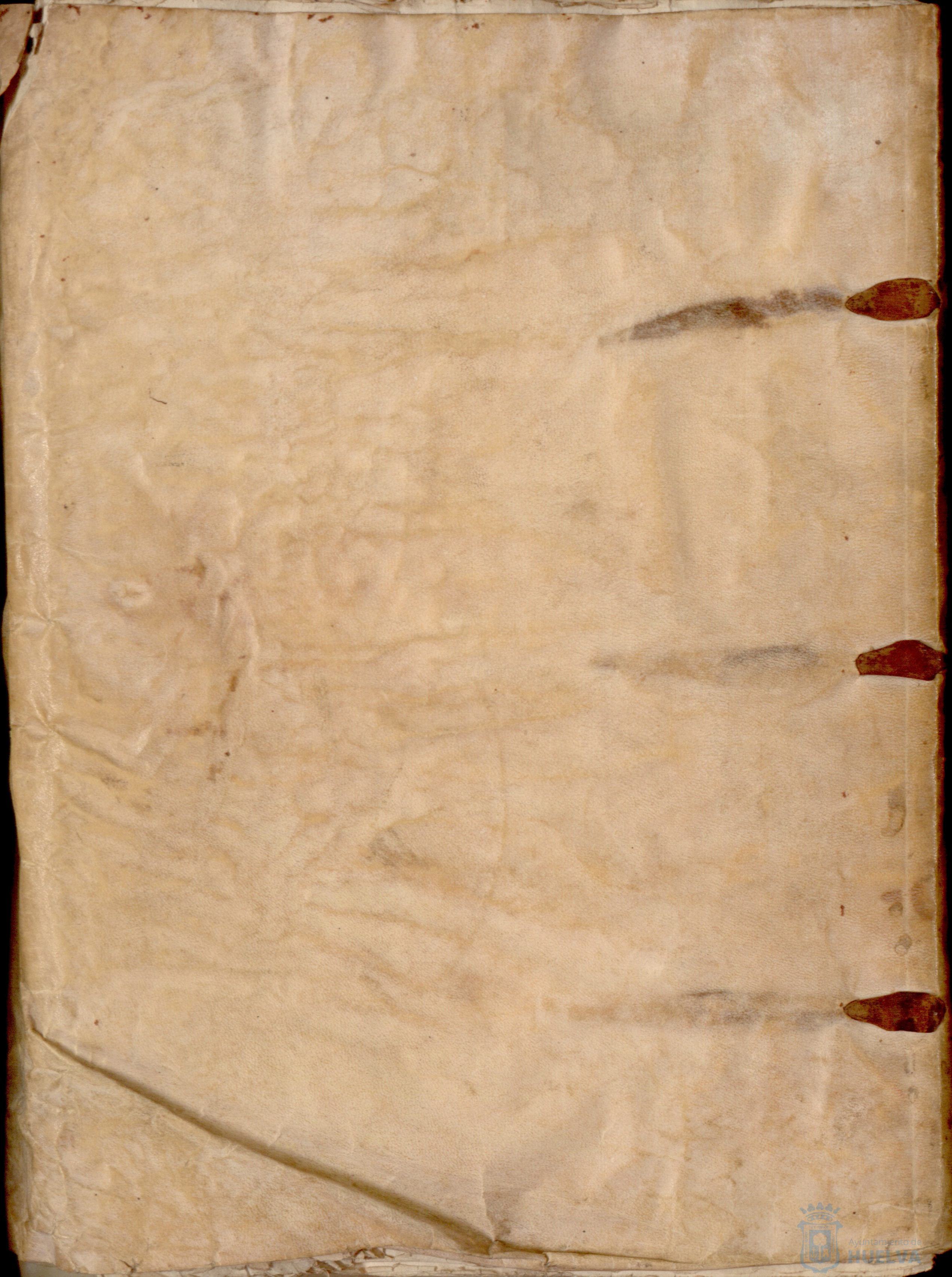 * Image 1100