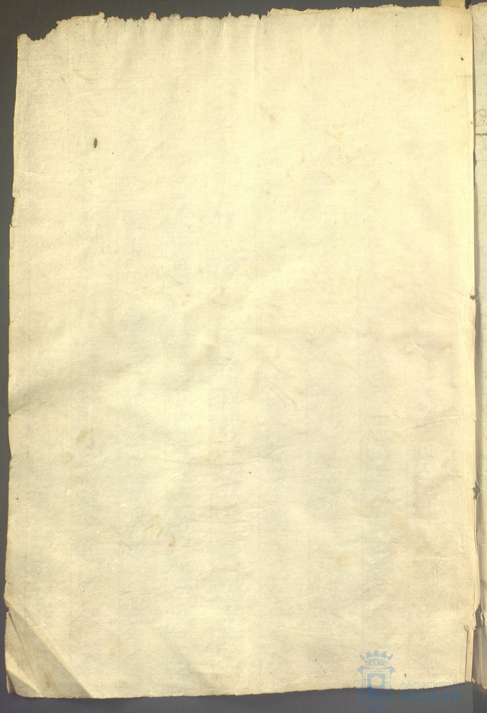 * Image 7