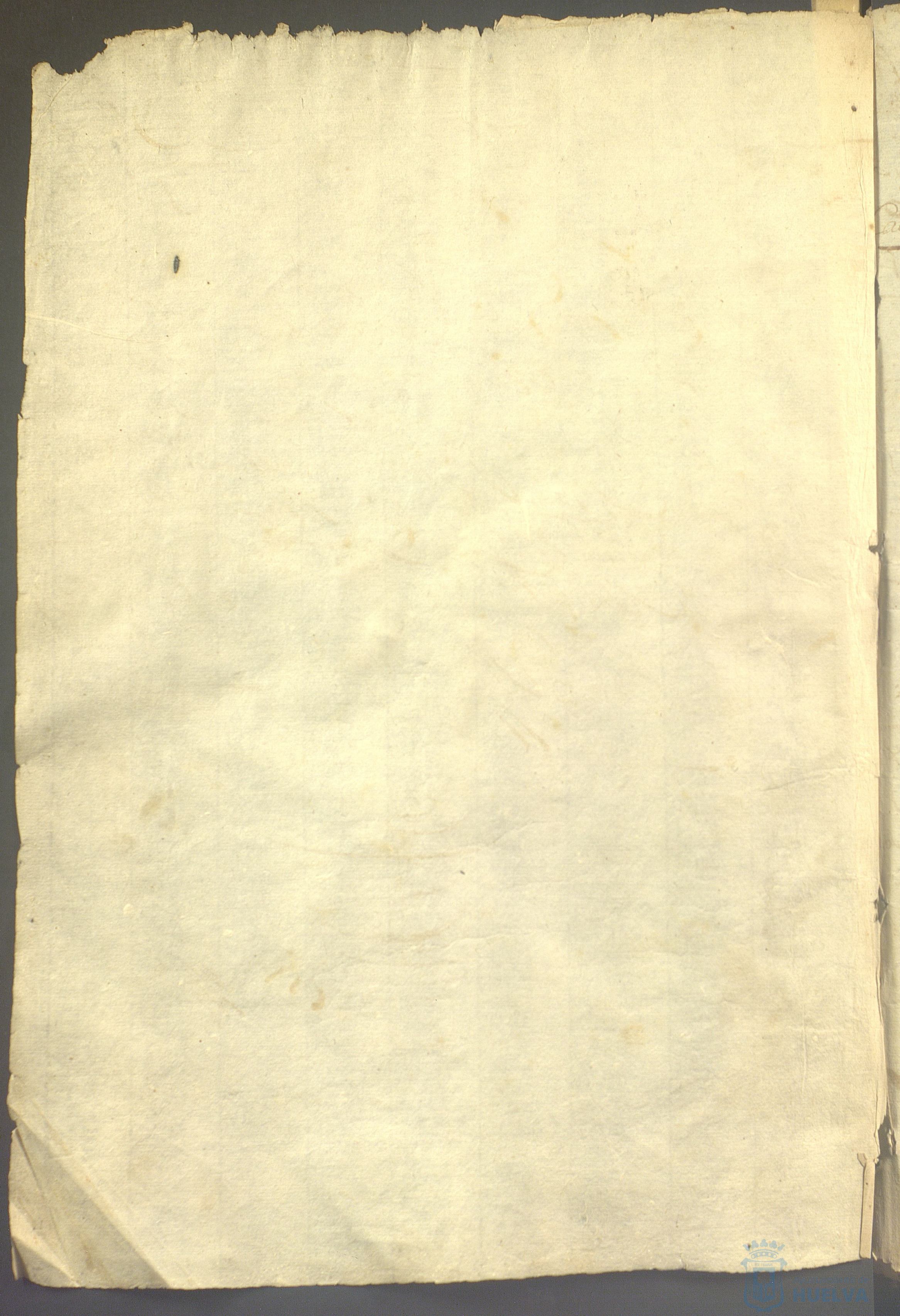 * Image 7