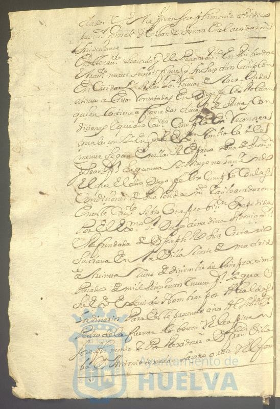 * Image 19