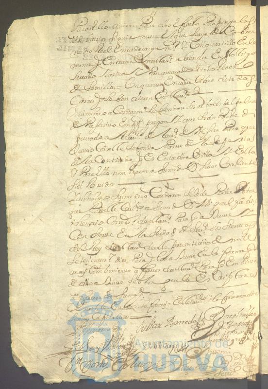 * Image 9