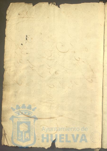 * Image 7