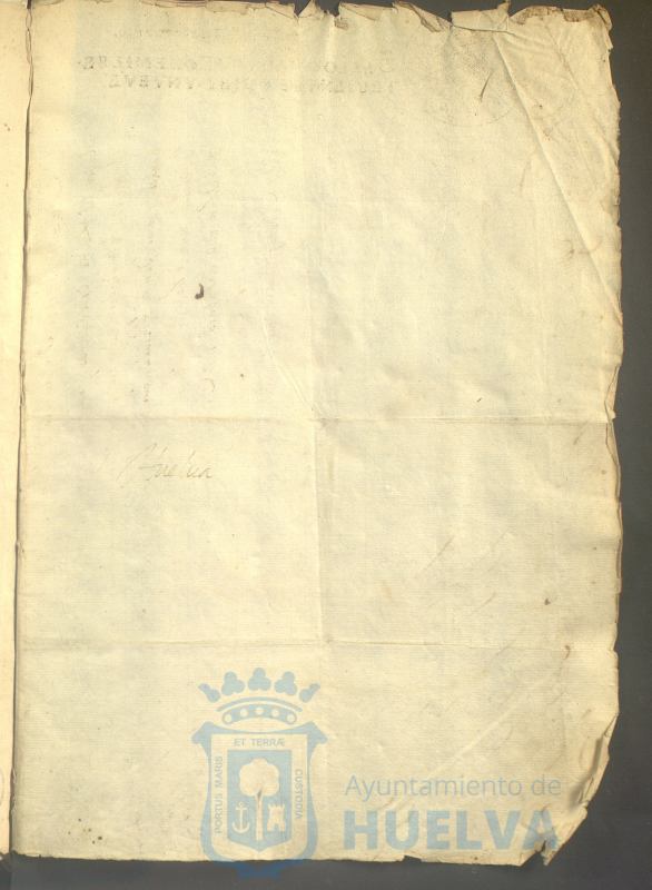 * Image 8