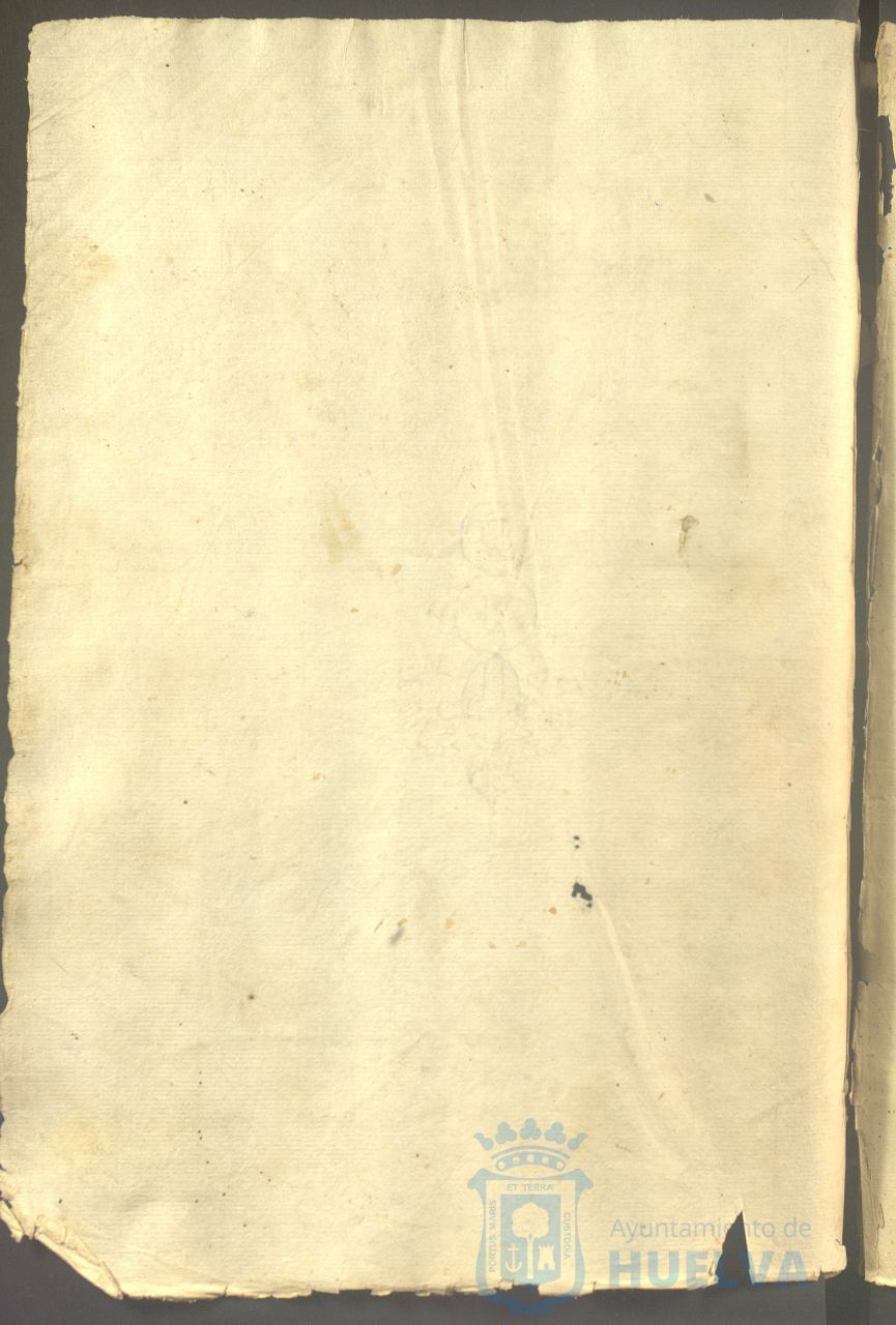 * Image 131