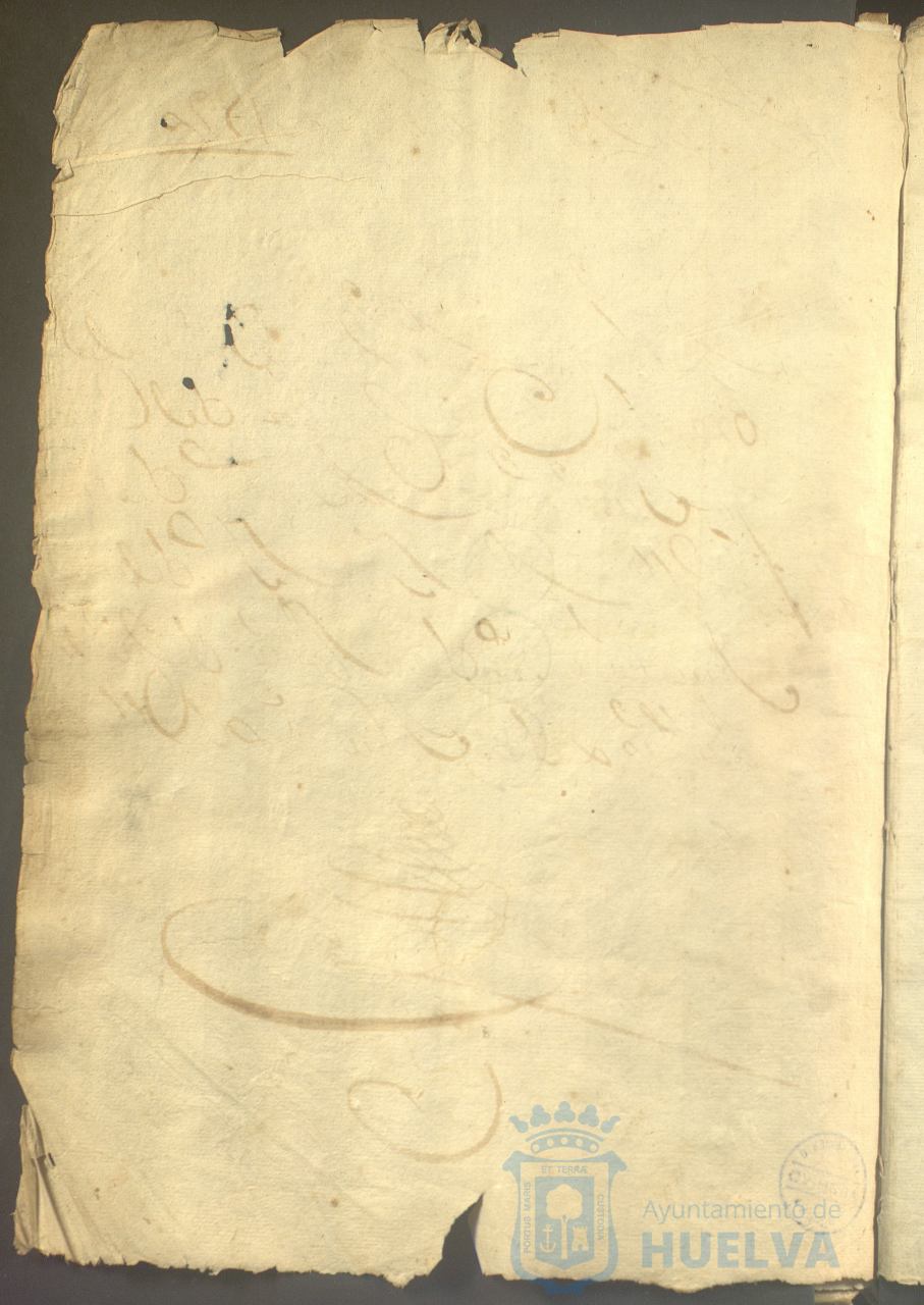 * Image 7
