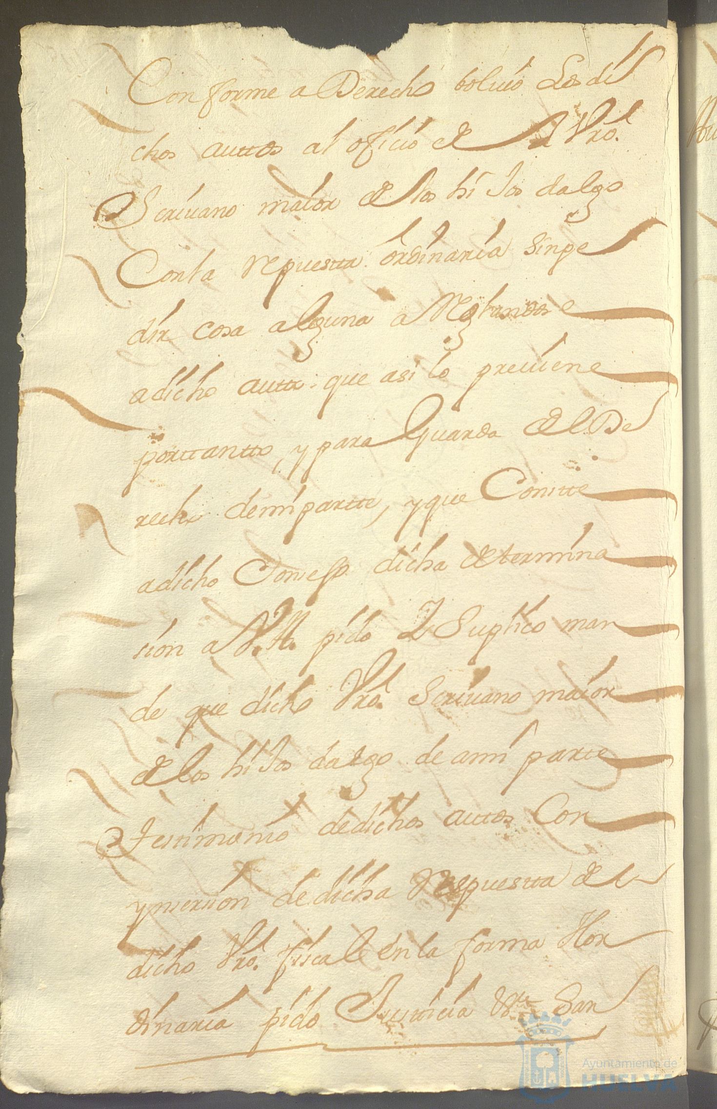 * Image 313
