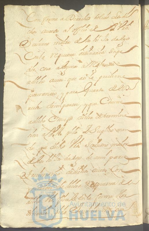* Image 313
