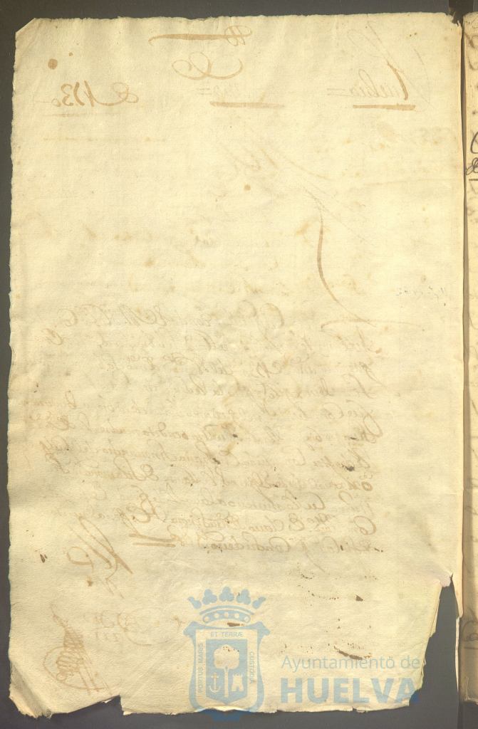 * Image 7