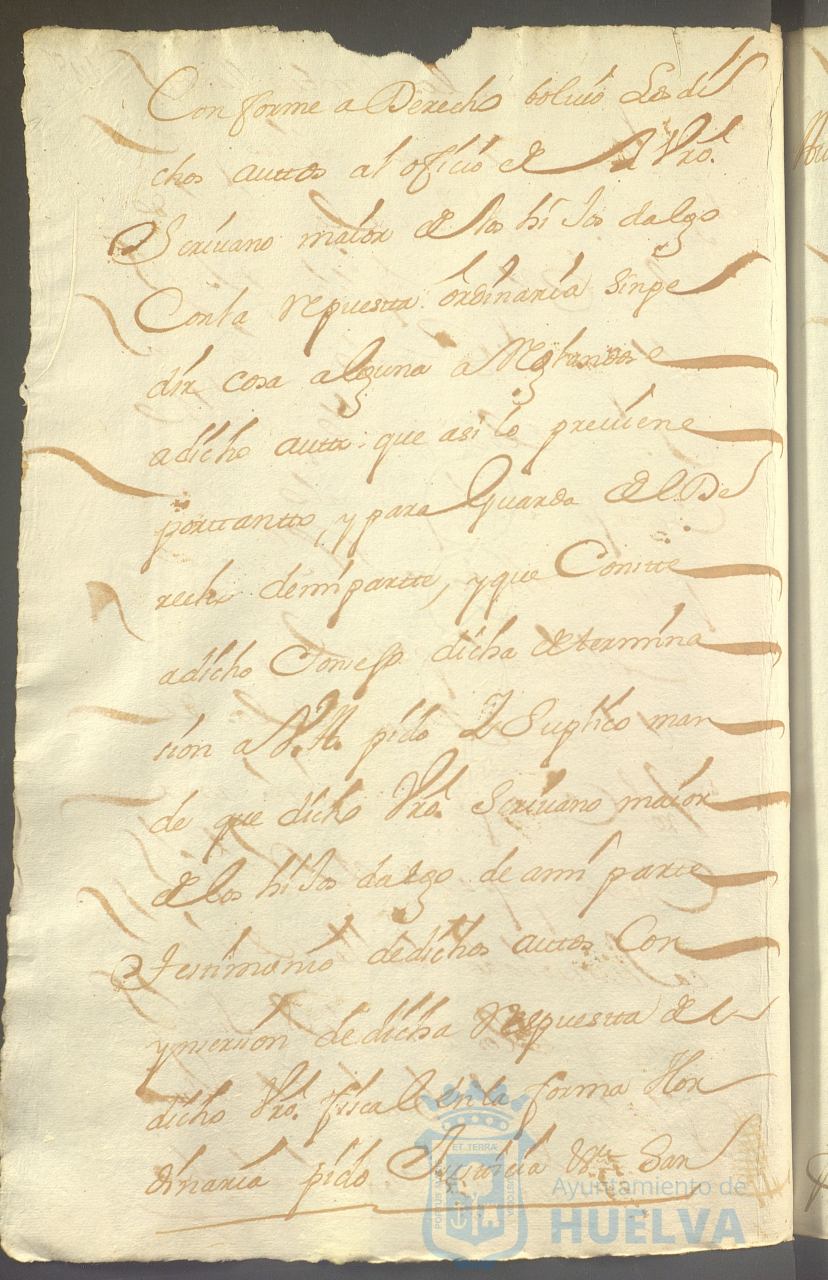 * Image 313