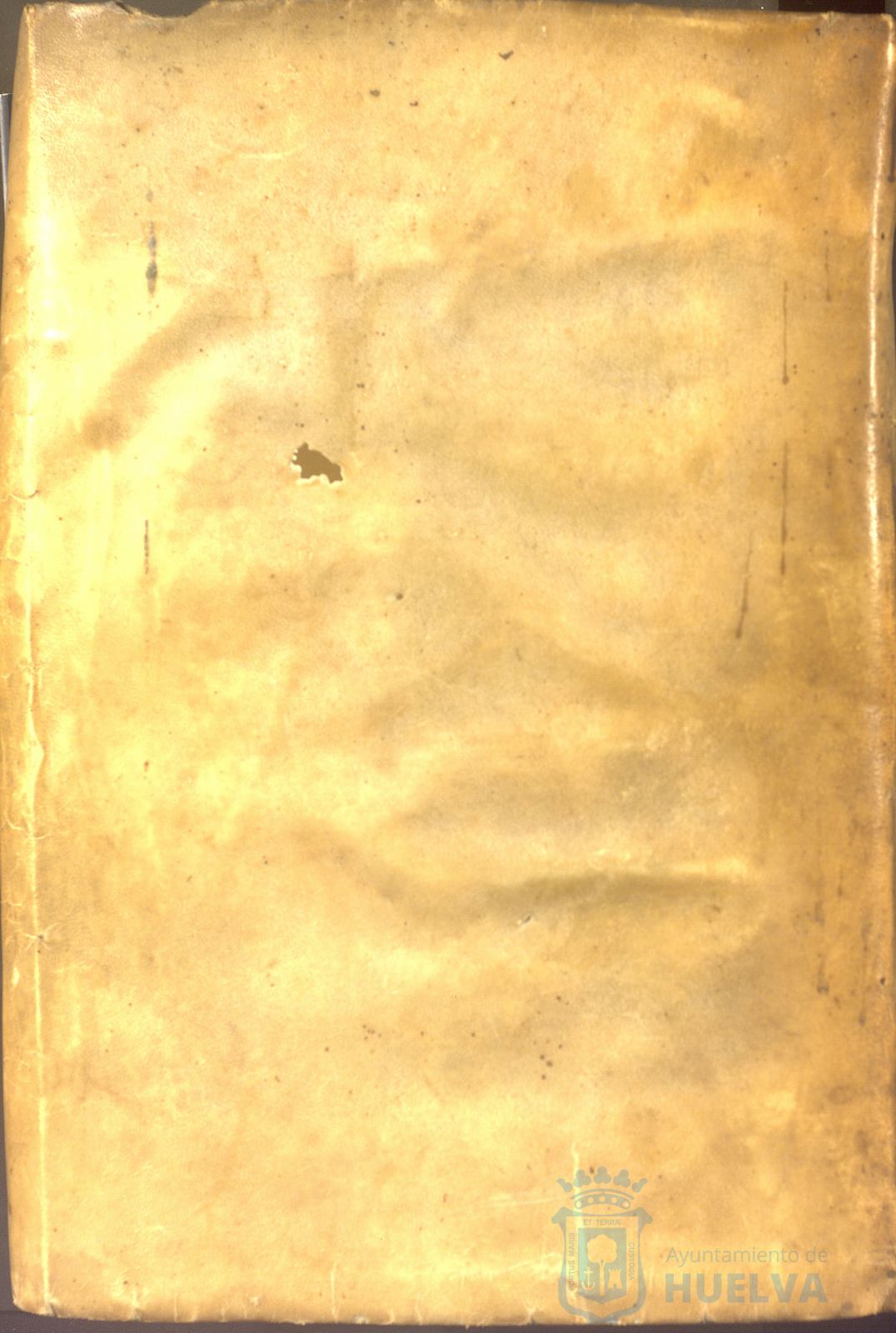 * Image 1002