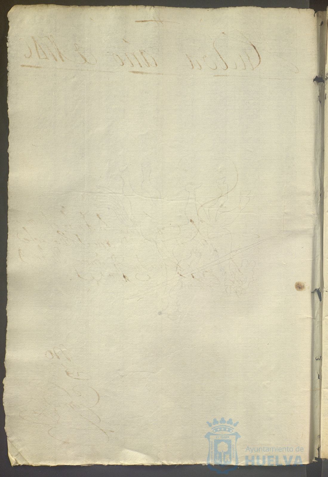 * Image 736
