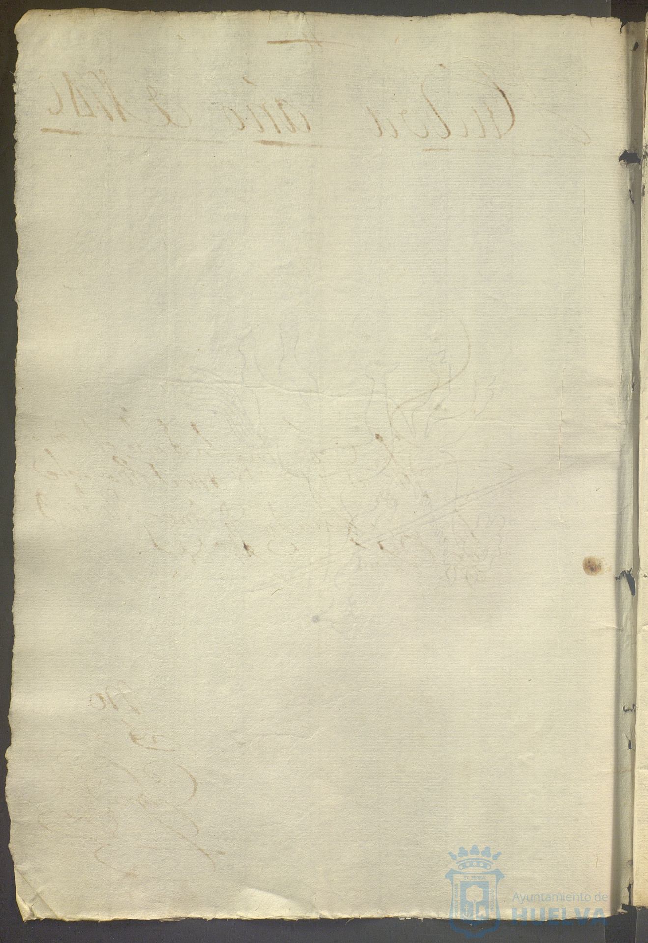 * Image 736