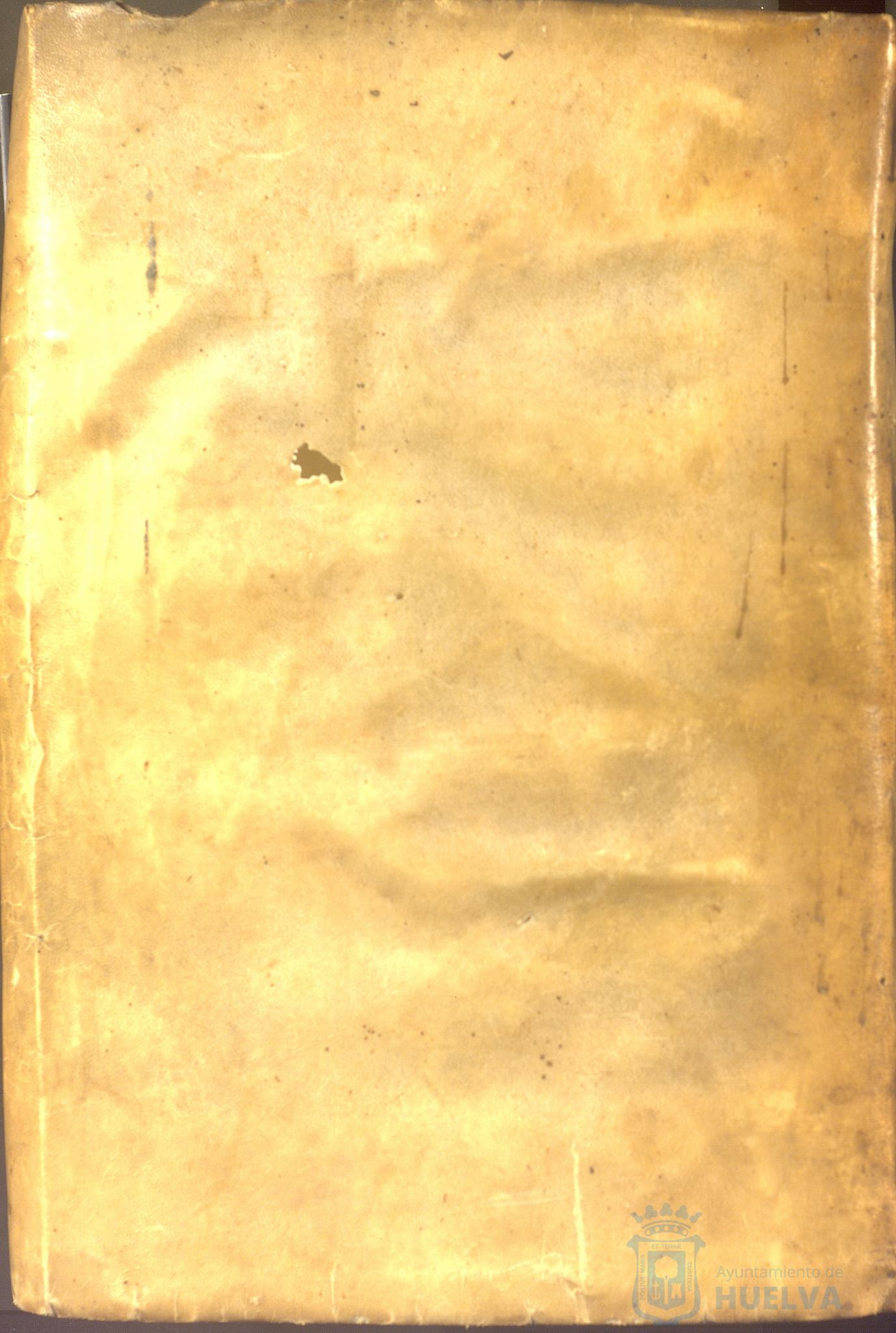 * Image 1002