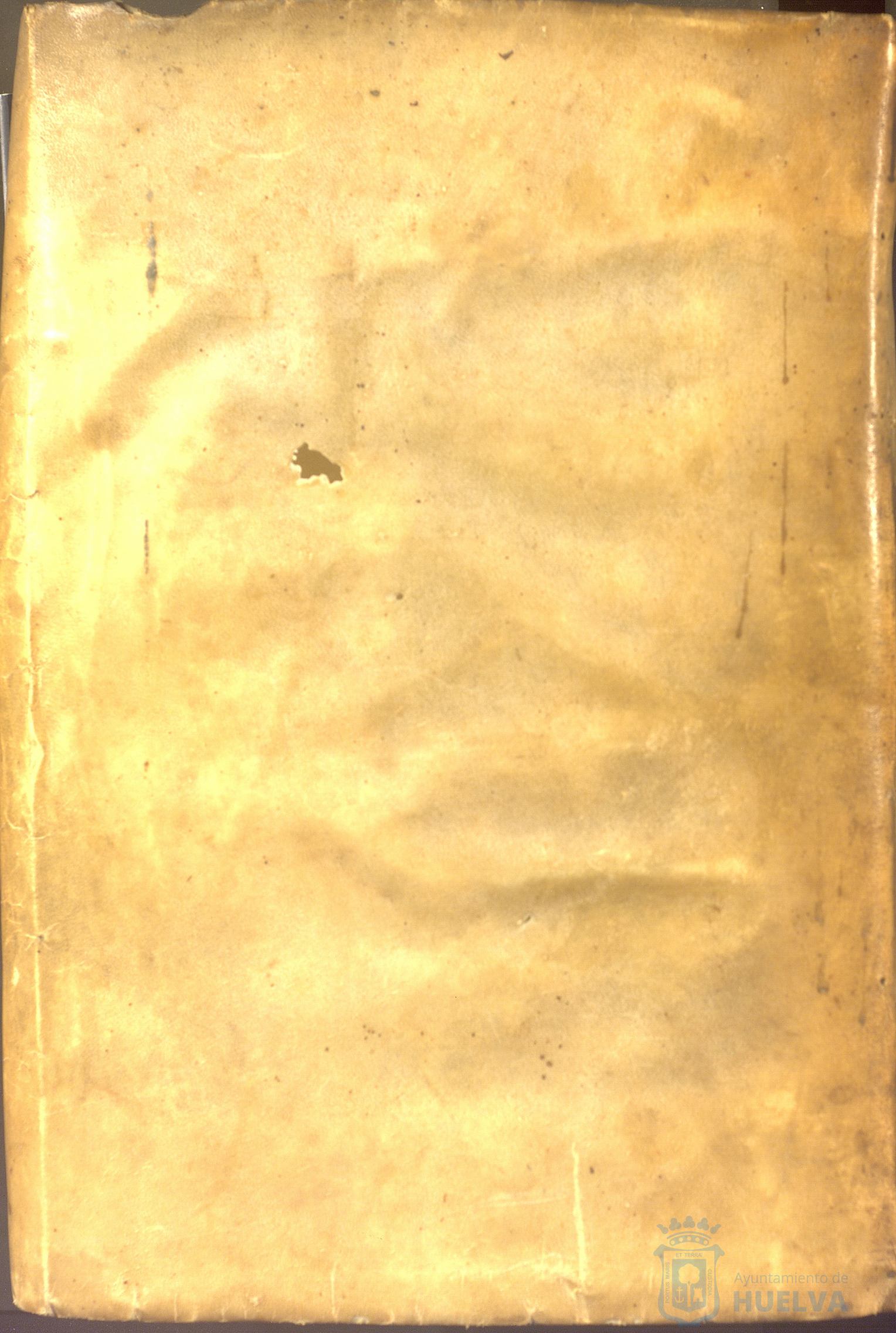 * Image 1002