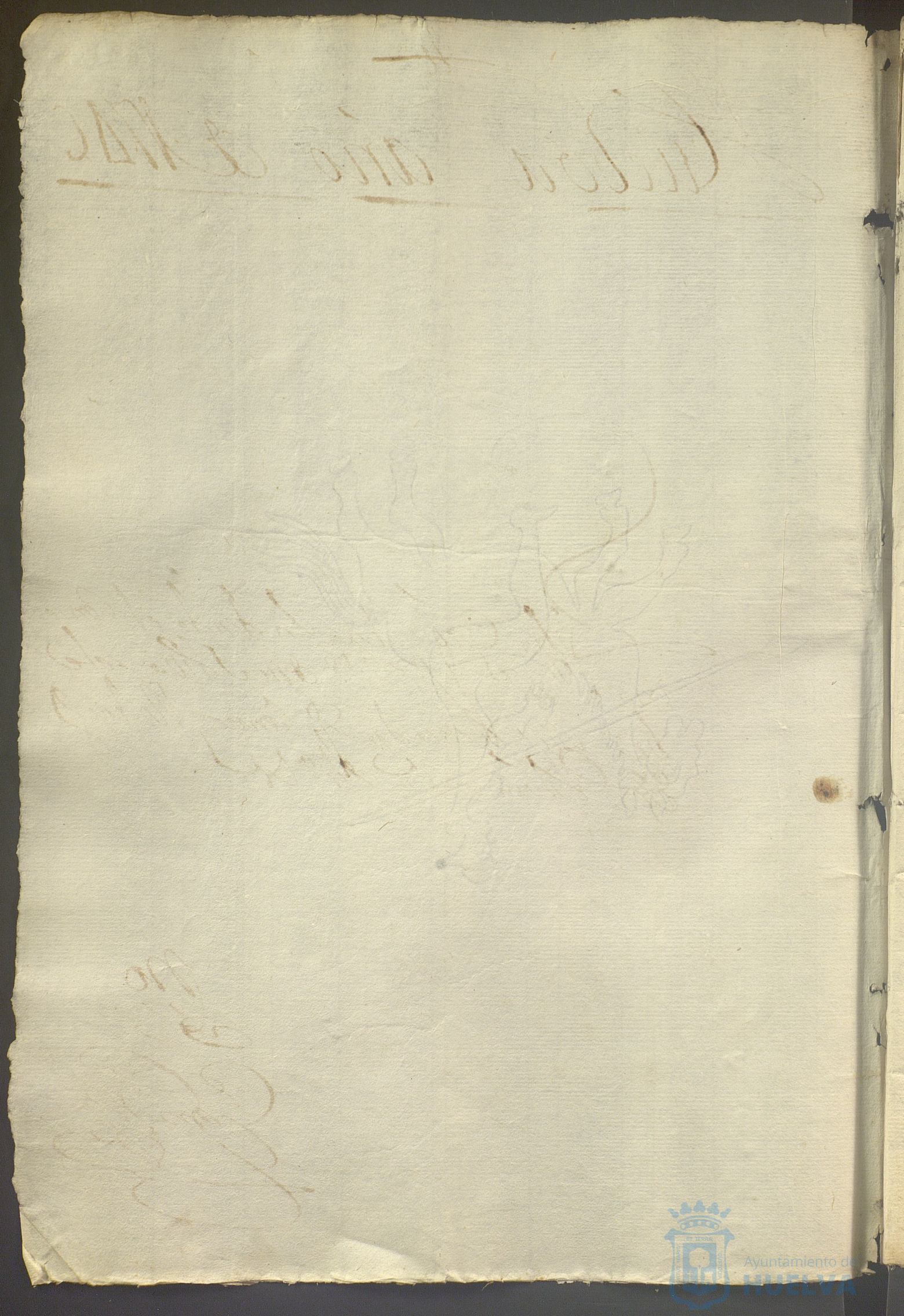 * Image 736