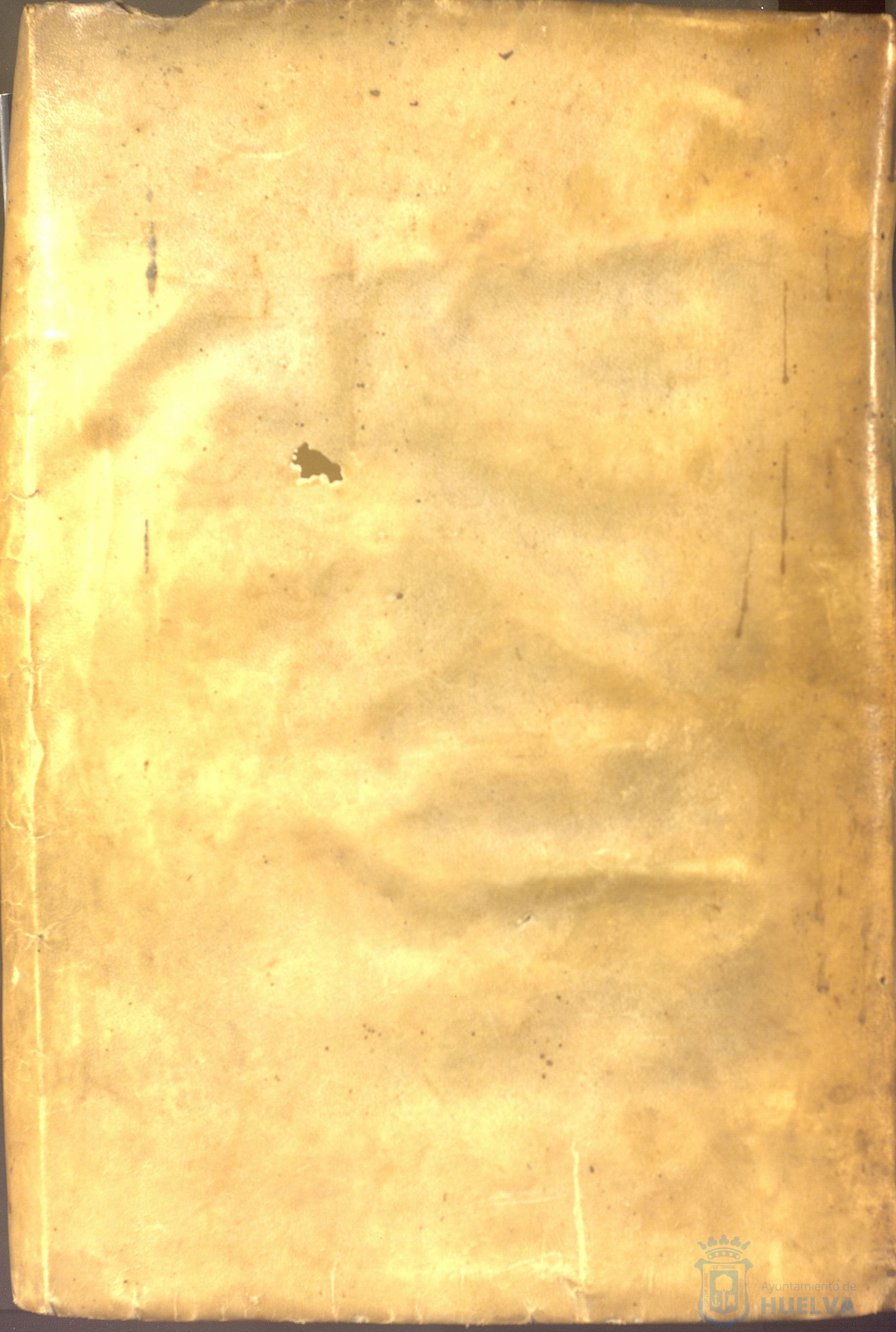 * Image 1002