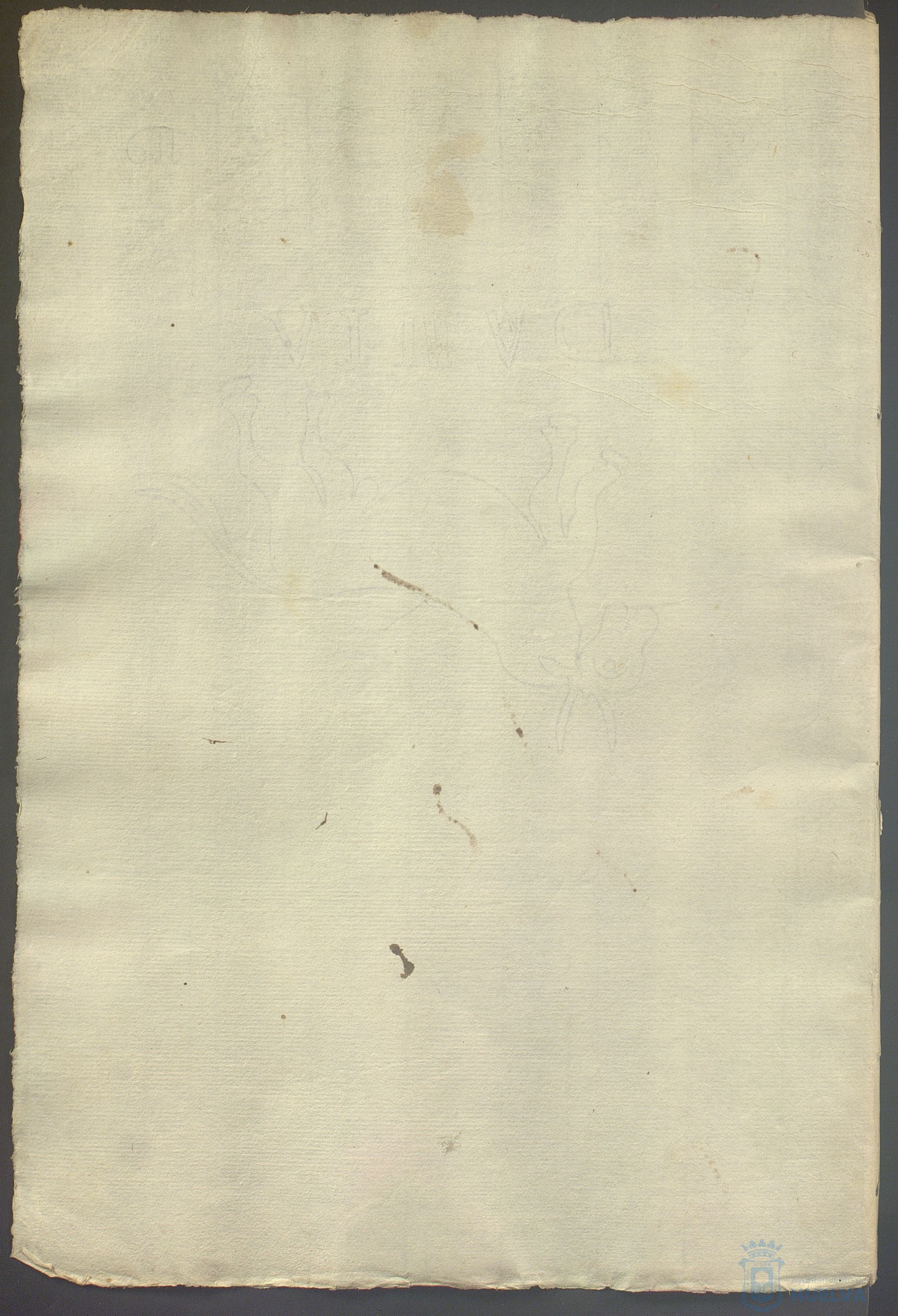 * Image 772