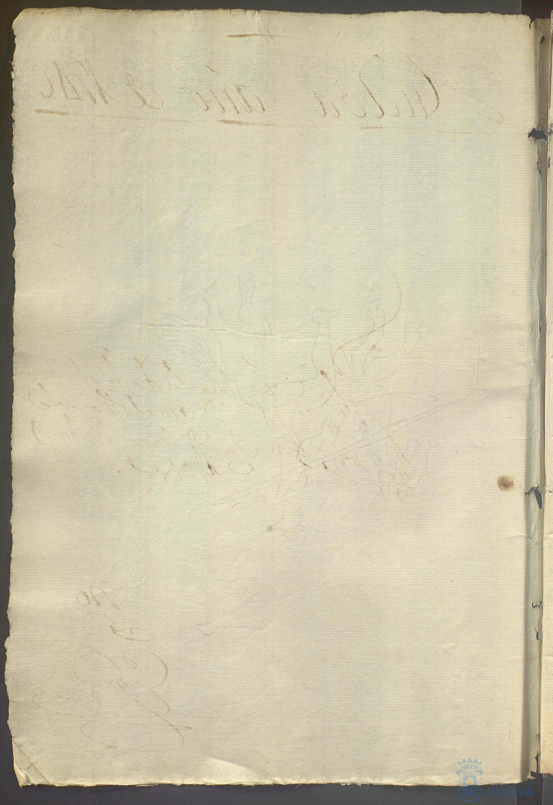 * Image 736