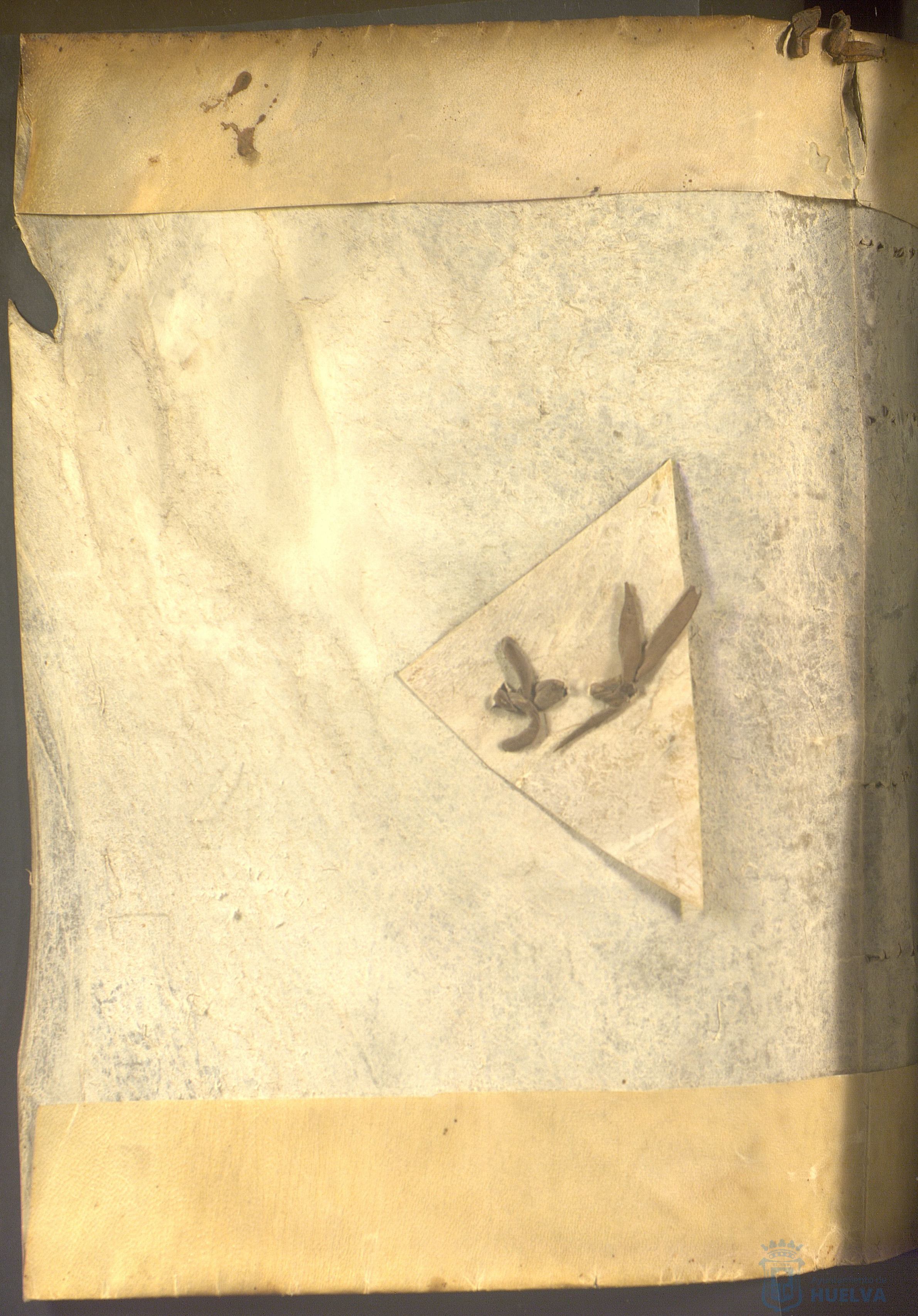 * Image 3