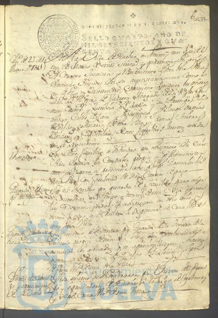 * Image 313