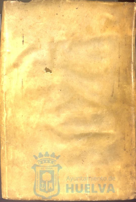 * Image 1002